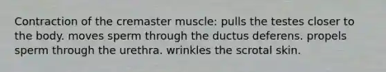 Contraction of the cremaster muscle: pulls the testes closer to the body. moves sperm through the ductus deferens. propels sperm through the urethra. wrinkles the scrotal skin.