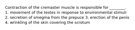 Contraction of the cremaster muscle is responsible for ________. 1. movement of the testes in response to environmental stimuli 2. secretion of smegma from the prepuce 3. erection of the penis 4. wrinkling of the skin covering the scrotum