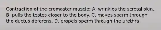 Contraction of the cremaster muscle: A. wrinkles the scrotal skin. B. pulls the testes closer to the body. C. moves sperm through the ductus deferens. D. propels sperm through the urethra.