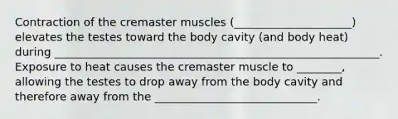 Contraction of the cremaster muscles (_____________________) elevates the testes toward the body cavity (and body heat) during __________________________________________________________. Exposure to heat causes the cremaster muscle to ________, allowing the testes to drop away from the body cavity and therefore away from the _____________________________.