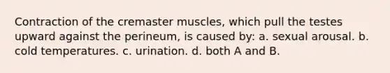 Contraction of the cremaster muscles, which pull the testes upward against the perineum, is caused by: a. sexual arousal. b. cold temperatures. c. urination. d. both A and B.