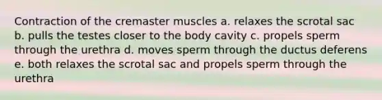 Contraction of the cremaster muscles a. relaxes the scrotal sac b. pulls the testes closer to the body cavity c. propels sperm through the urethra d. moves sperm through the ductus deferens e. both relaxes the scrotal sac and propels sperm through the urethra