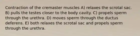 Contraction of the cremaster muscles A) relaxes the scrotal sac. B) pulls the testes closer to the body cavity. C) propels sperm through the urethra. D) moves sperm through the ductus deferens. E) both relaxes the scrotal sac and propels sperm through the urethra.