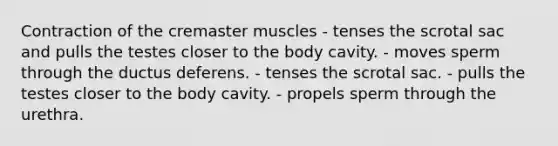 Contraction of the cremaster muscles - tenses the scrotal sac and pulls the testes closer to the body cavity. - moves sperm through the ductus deferens. - tenses the scrotal sac. - pulls the testes closer to the body cavity. - propels sperm through the urethra.