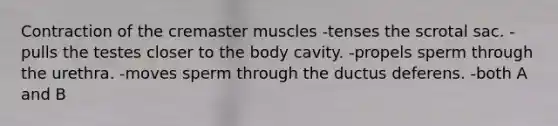 Contraction of the cremaster muscles -tenses the scrotal sac. -pulls the testes closer to the body cavity. -propels sperm through the urethra. -moves sperm through the ductus deferens. -both A and B