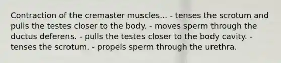 Contraction of the cremaster muscles... - tenses the scrotum and pulls the testes closer to the body. - moves sperm through the ductus deferens. - pulls the testes closer to the body cavity. - tenses the scrotum. - propels sperm through the urethra.