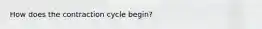 How does the contraction cycle begin?