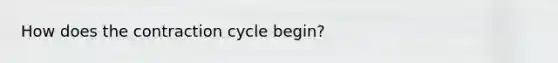 How does the contraction cycle begin?