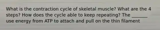 What is the contraction cycle of skeletal muscle? What are the 4 steps? How does the cycle able to keep repeating? The _______ use energy from ATP to attach and pull on the thin filament