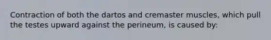 Contraction of both the dartos and cremaster muscles, which pull the testes upward against the perineum, is caused by: