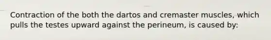 Contraction of the both the dartos and cremaster muscles, which pulls the testes upward against the perineum, is caused by: