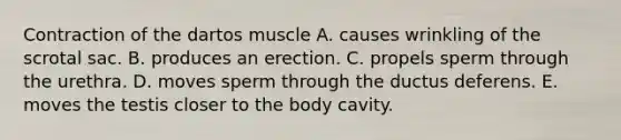 Contraction of the dartos muscle A. causes wrinkling of the scrotal sac. B. produces an erection. C. propels sperm through the urethra. D. moves sperm through the ductus deferens. E. moves the testis closer to the body cavity.