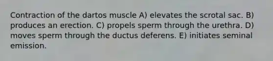 Contraction of the dartos muscle A) elevates the scrotal sac. B) produces an erection. C) propels sperm through the urethra. D) moves sperm through the ductus deferens. E) initiates seminal emission.