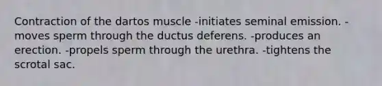 Contraction of the dartos muscle -initiates seminal emission. -moves sperm through the ductus deferens. -produces an erection. -propels sperm through the urethra. -tightens the scrotal sac.