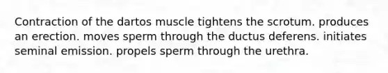 Contraction of the dartos muscle tightens the scrotum. produces an erection. moves sperm through the ductus deferens. initiates seminal emission. propels sperm through the urethra.