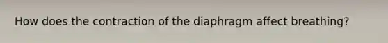 How does the contraction of the diaphragm affect breathing?