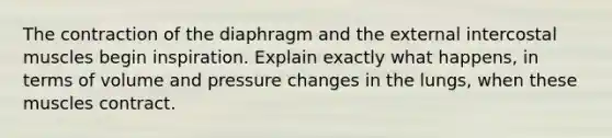 The contraction of the diaphragm and the external intercostal muscles begin inspiration. Explain exactly what happens, in terms of volume and pressure changes in the lungs, when these muscles contract.