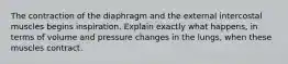 The contraction of the diaphragm and the external intercostal muscles begins inspiration. Explain exactly what happens, in terms of volume and pressure changes in the lungs, when these muscles contract.