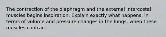 The contraction of the diaphragm and the external intercostal muscles begins inspiration. Explain exactly what happens, in terms of volume and pressure changes in the lungs, when these muscles contract.