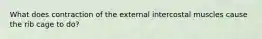 What does contraction of the external intercostal muscles cause the rib cage to do?