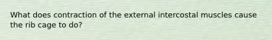 What does contraction of the external intercostal muscles cause the rib cage to do?