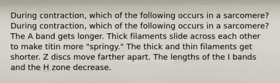 During contraction, which of the following occurs in a sarcomere? During contraction, which of the following occurs in a sarcomere? The A band gets longer. Thick filaments slide across each other to make titin more "springy." The thick and thin filaments get shorter. Z discs move farther apart. The lengths of the I bands and the H zone decrease.