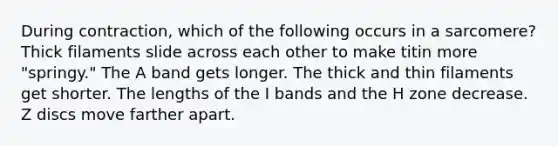 During contraction, which of the following occurs in a sarcomere? Thick filaments slide across each other to make titin more "springy." The A band gets longer. The thick and thin filaments get shorter. The lengths of the I bands and the H zone decrease. Z discs move farther apart.