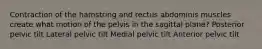 Contraction of the hamstring and rectus abdominis muscles create what motion of the pelvis in the sagittal plane? Posterior pelvic tilt Lateral pelvic tilt Medial pelvic tilt Anterior pelvic tilt
