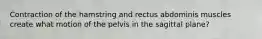 Contraction of the hamstring and rectus abdominis muscles create what motion of the pelvis in the sagittal plane?