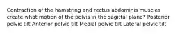 Contraction of the hamstring and rectus abdominis muscles create what motion of the pelvis in the sagittal plane? Posterior pelvic tilt Anterior pelvic tilt Medial pelvic tilt Lateral pelvic tilt