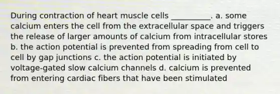 During contraction of heart muscle cells __________. a. some calcium enters the cell from the extracellular space and triggers the release of larger amounts of calcium from intracellular stores b. the action potential is prevented from spreading from cell to cell by gap junctions c. the action potential is initiated by voltage-gated slow calcium channels d. calcium is prevented from entering cardiac fibers that have been stimulated