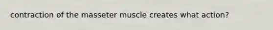 contraction of the masseter muscle creates what action?