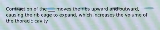 Contraction of the ___ moves the ribs upward and outward, causing the rib cage to expand, which increases the volume of the thoracic cavity