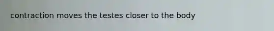 contraction moves the testes closer to the body