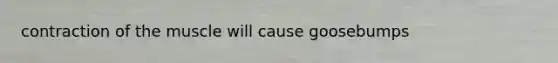 contraction of the muscle will cause goosebumps