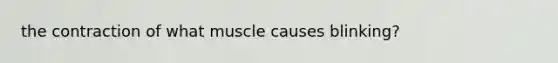 the contraction of what muscle causes blinking?