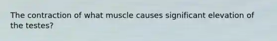 The contraction of what muscle causes significant elevation of the testes?