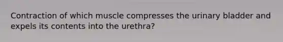 Contraction of which muscle compresses the urinary bladder and expels its contents into the urethra?