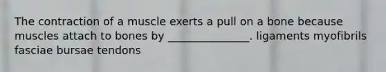 The contraction of a muscle exerts a pull on a bone because muscles attach to bones by _______________. ligaments myofibrils fasciae bursae tendons