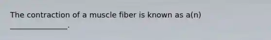 The contraction of a muscle fiber is known as a(n) _______________.