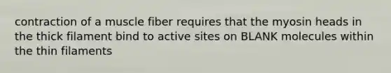 contraction of a muscle fiber requires that the myosin heads in the thick filament bind to active sites on BLANK molecules within the thin filaments