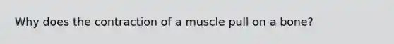 Why does the contraction of a muscle pull on a bone?