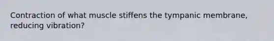 Contraction of what muscle stiffens the tympanic membrane, reducing vibration?