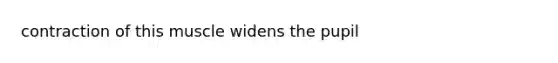 contraction of this muscle widens the pupil
