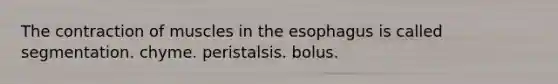 The contraction of muscles in the esophagus is called segmentation. chyme. peristalsis. bolus.