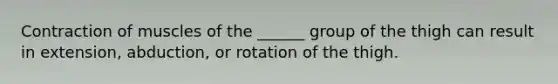 Contraction of muscles of the ______ group of the thigh can result in extension, abduction, or rotation of the thigh.