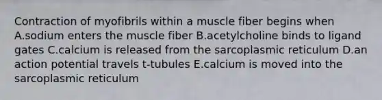 Contraction of myofibrils within a muscle fiber begins when A.sodium enters the muscle fiber B.acetylcholine binds to ligand gates C.calcium is released from the sarcoplasmic reticulum D.an action potential travels t-tubules E.calcium is moved into the sarcoplasmic reticulum