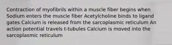 Contraction of myofibrils within a muscle fiber begins when Sodium enters the muscle fiber Acetylcholine binds to ligand gates Calcium is released from the sarcoplasmic reticulum An action potential travels t-tubules Calcium is moved into the sarcoplasmic reticulum