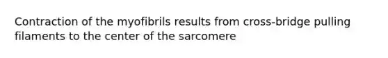 Contraction of the myofibrils results from cross-bridge pulling filaments to the center of the sarcomere