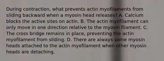 During contraction, what prevents actin myofilaments from sliding backward when a myosin head releases? A. Calcium blocks the active sites on actin. B. The actin myofilament can only move in one direction relative to the myosin filament. C. The cross bridge remains in place, preventing the actin myofilament from sliding. D. There are always some myosin heads attached to the actin myofilament when other myosin heads are detaching.